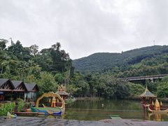 -西双版纳原始森林公园