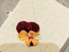 -巴奴毛肚火锅(龙湖锦艺城店)