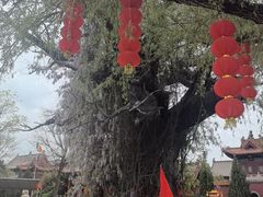 -大槐树寻根祭祖园