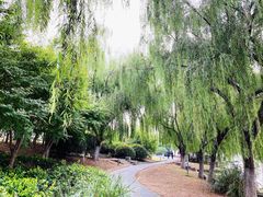 -云龙湖旅游景区