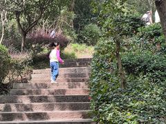 -巢湖姥山岛