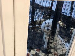 -阿那亚第一食堂 Cafeteria 1