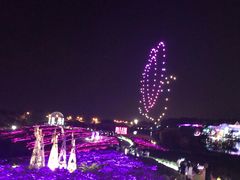 -大塘金香草谷