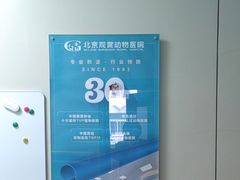 -北京观赏动物医院·24小时大型综合·猫专科·异宠专科