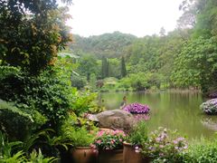 -深圳仙湖植物园