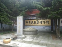-大鹿岛