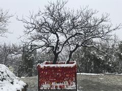 -香山公园