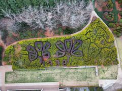 -昆明植物园