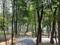 -铁山坪森林公园