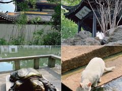 -西园戒幢律寺