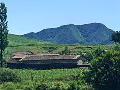 -河口景区