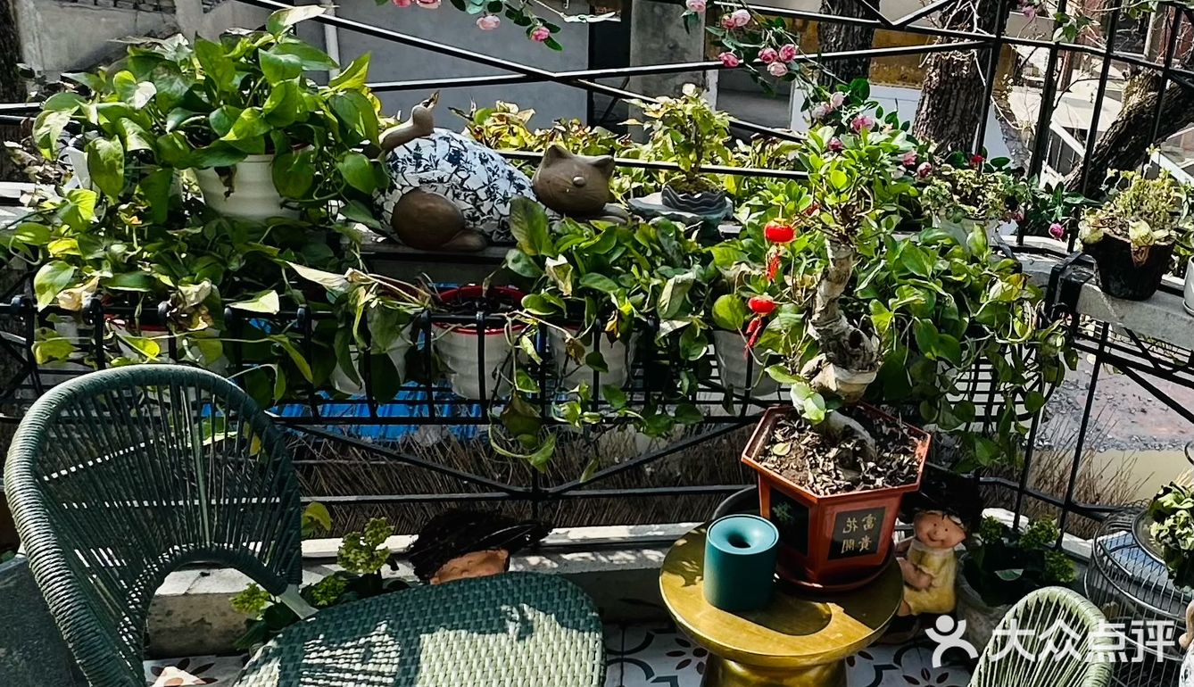 金陵食录｜颐和路寻景，赏民国洋房品金陵茶食🍃