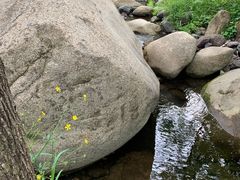 -云岫谷自然风景区