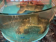 -魏铭鱼头捞饭(晋阳路店)