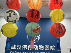 -伟伟宠物医院·CT影像中心·瑞派犬猫综合性门诊(汉口总院)