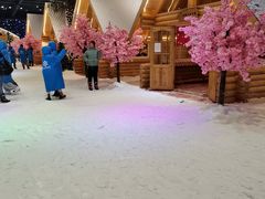 -宁波冰雪大世界(北仑区)