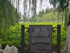 -包公祠