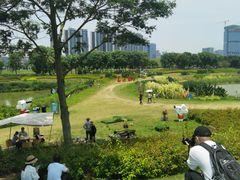 -光明小镇欢乐田园