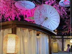 -韵秋荷(宝山龙湖天街店)
