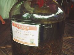 -南湾猴岛+椰田古寨一日游