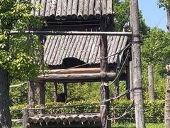 -上海野生动物园