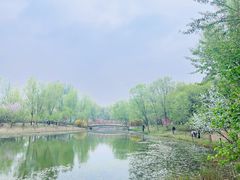 -北京奥林匹克公园