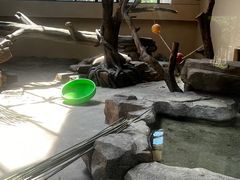 -宁波野生动物园