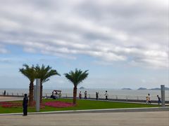 -野狸岛