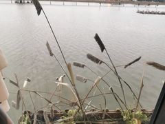 -东南里湖景餐厅·新闽菜(浦西万达店)