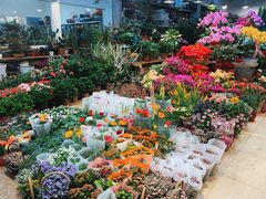 -双季花艺园艺市场(浦东店)