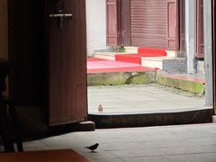 -汪一挑馄饨(老街店)