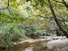 -关门山森林公园