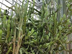 -南山植物园