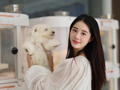 -翊宠yipet猫狗购宠庄园犬舍•猫舍