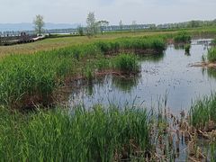 -野鸭湖国家湿地公园