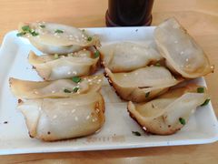 鲜肉锅贴-小姜锅贴(凤凰街店)