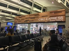 -纽瓦克自由国际机场