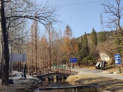 -白水寺森林公园