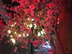 -桃花沅火锅(长嘉汇江景店)