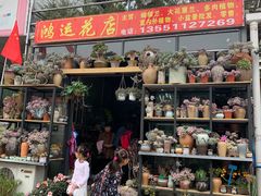 -金科花卉市场