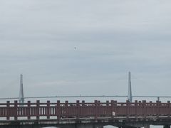 -霞山观海长廊