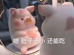 -老窦肥肠板面