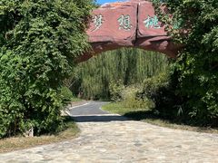 -武清南湖绿博园