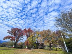 -黄陂区野村谷景区