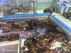 -大锅强·蒸海鲜青岛菜(金沙滩店)