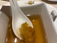 -诺莱仕游艇会