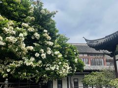 -常熟方塔园