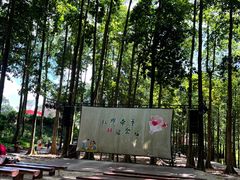 -广州市帽峰山景区