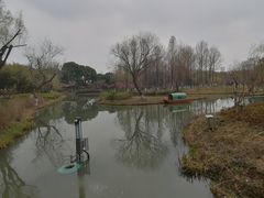 -青枫公园