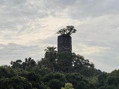 -江心屿景区